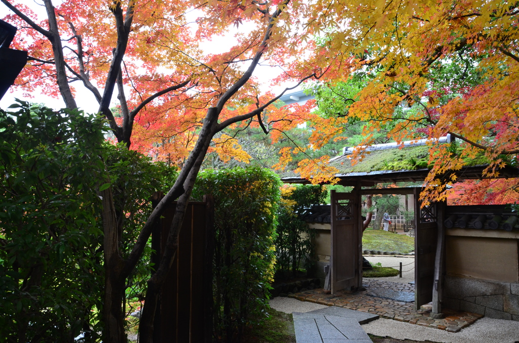 足立美術館2017　日本庭園4