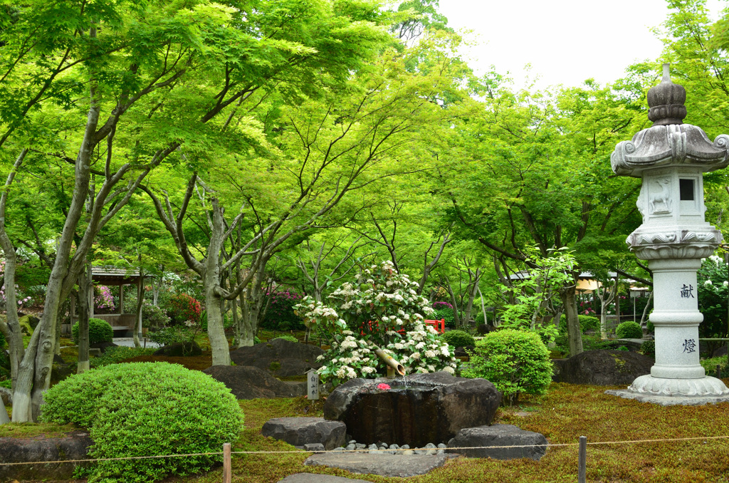 祐徳稲荷神社2019　4月　日本庭園④