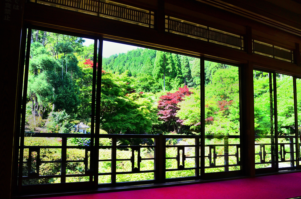 環境芸術の森2020　6月-4　風遊山荘①