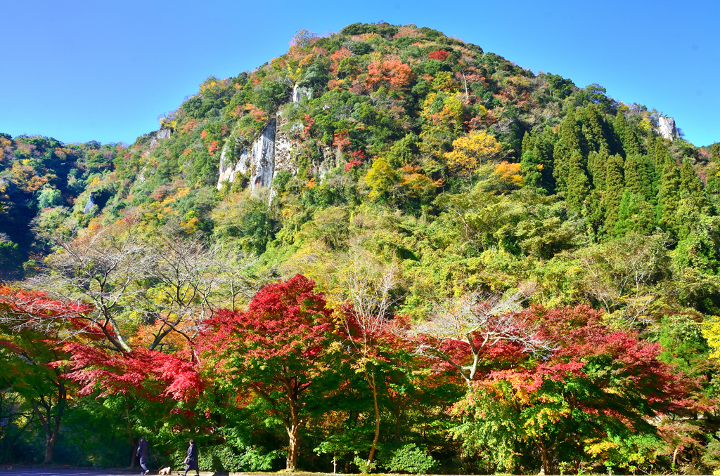 深耶馬渓2022　11月-2　群猿山