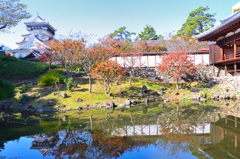 小倉城2023　晩秋-01　庭園より