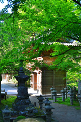 雷山千如寺2019　5月　仁王門