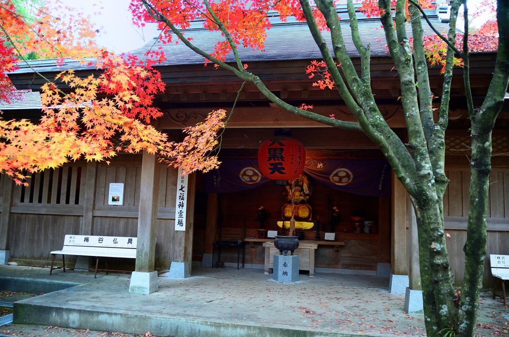 呑山観音寺2020　11月-2　七福神堂