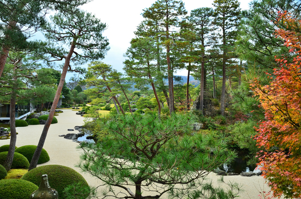 足立美術館2020　11月-5　枯山水庭　新館への通路より