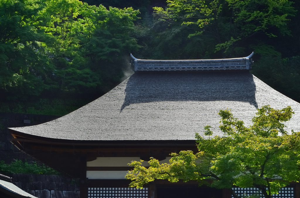 京都2022　7月-3　清水寺③