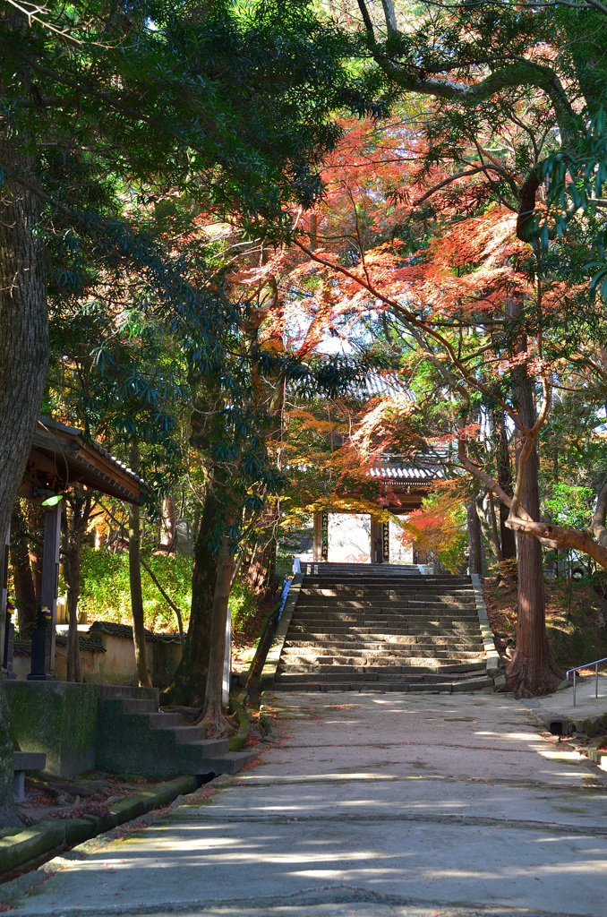 功山寺2019-1　12月　参道より山門