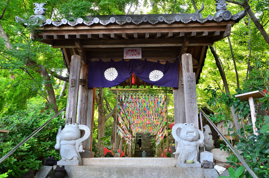 如意輪寺2022　8月-3　山門から風鈴隧道