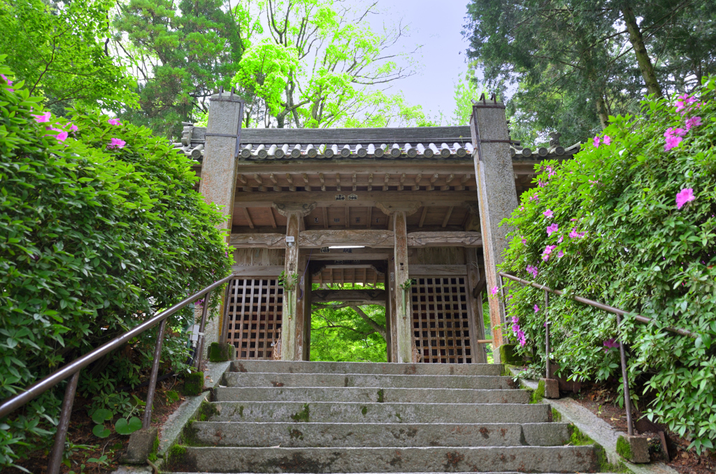 大興善寺2019-2　4月　山門②