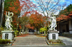 呑山観音寺2019-5　天王院　参道