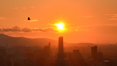 K市2025　8月-1　都市の夕景②