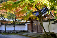 呑山観音寺2022　10月-4　客殿　正門
