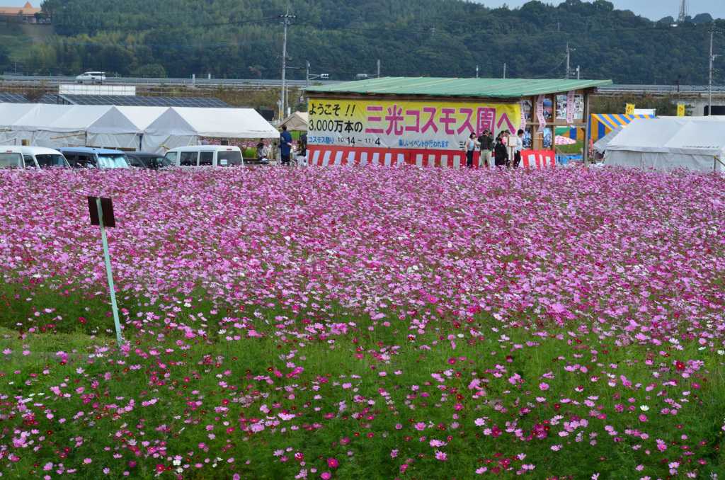 三光2018　屋台村