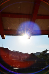 厳島神社2020　10月　午後の光芒