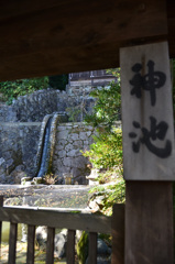 長崎2020　1月　諏訪神社　神池