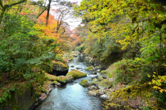 菊池渓谷2021　11月-1　渓流①