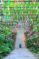 如意輪寺2022　8月-01　下がり石段参道
