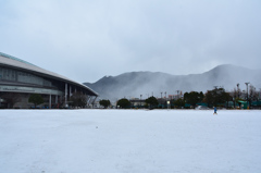 三萩野公園2021　1月　雪と子供