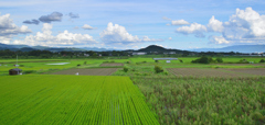 夏雲と田園風景