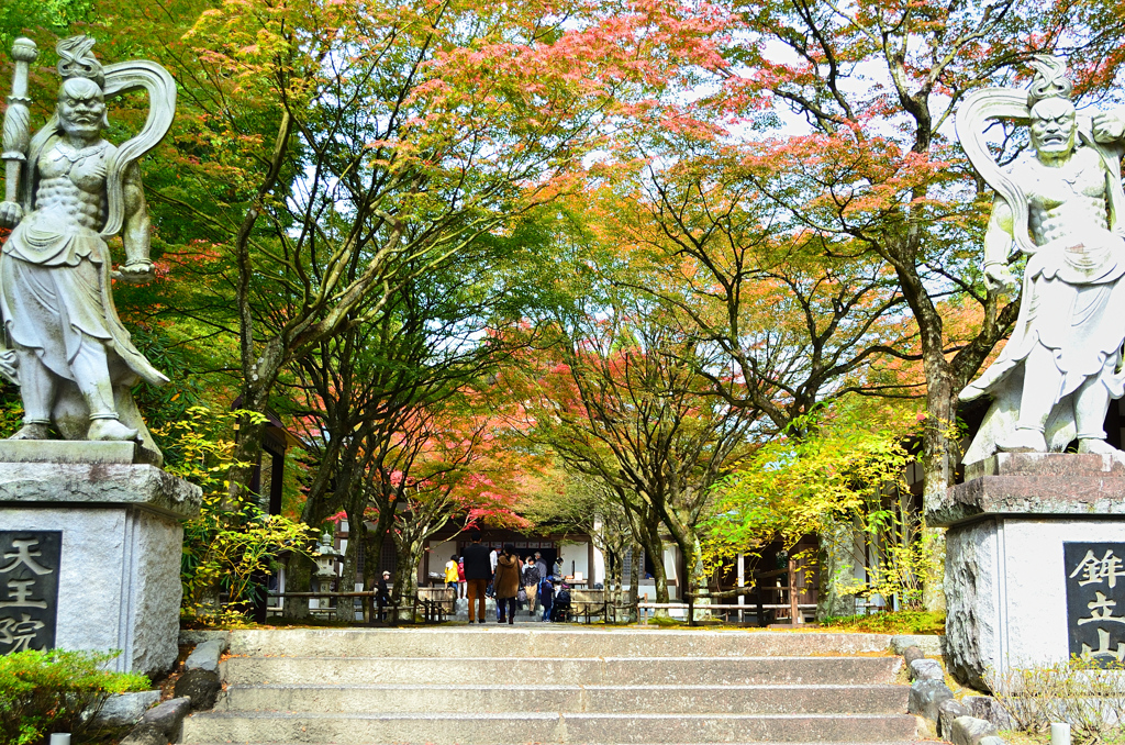 呑山観音寺2021　11月-1　天王院参道