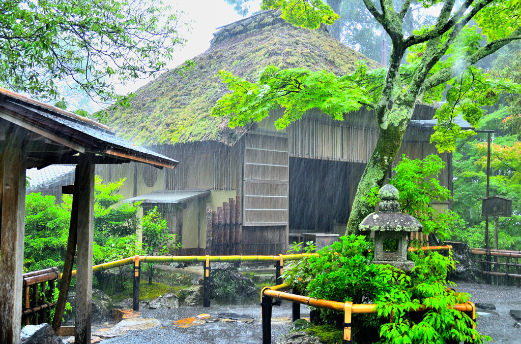 雨の金閣寺　夕佳亭