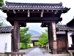 天龍寺2022　7月　総門