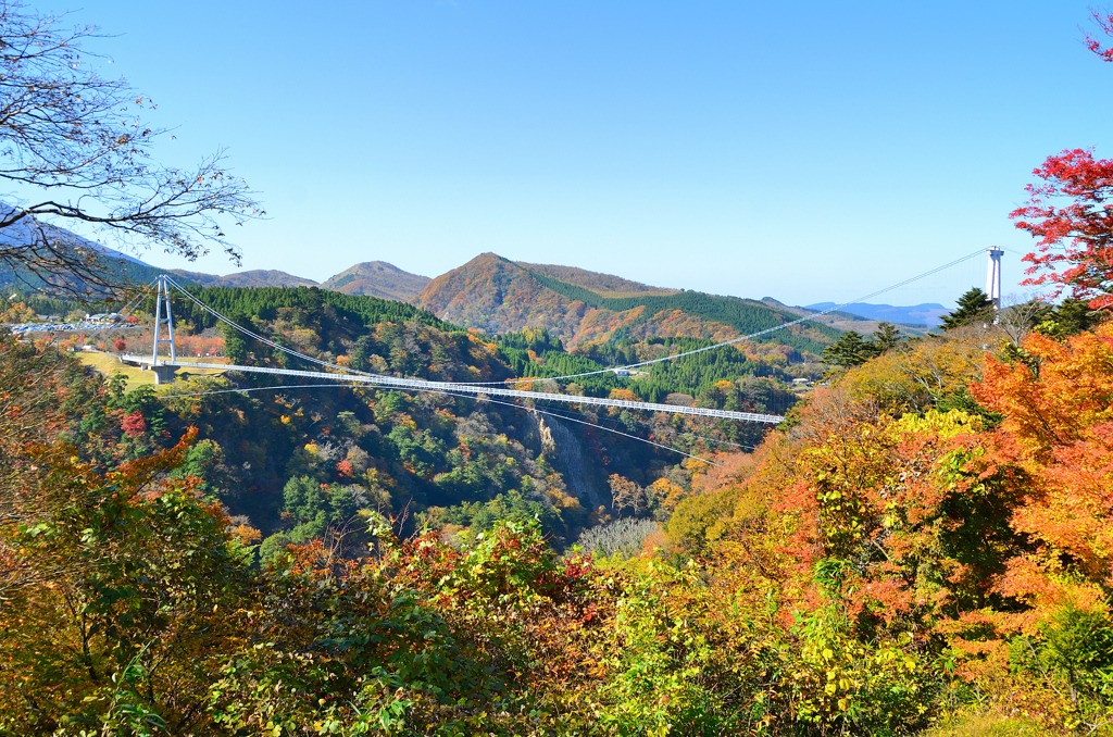 九重夢大吊橋2020　11月-2　全景