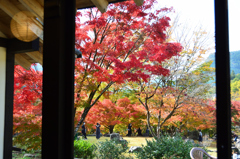 渓石園2022　11月-1　食事処より日本庭園