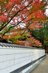 呑山観音寺2019-4　本堂塀