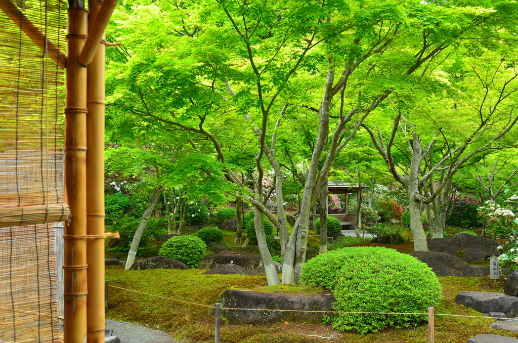 祐徳稲荷神社2019　4月　日本庭園①