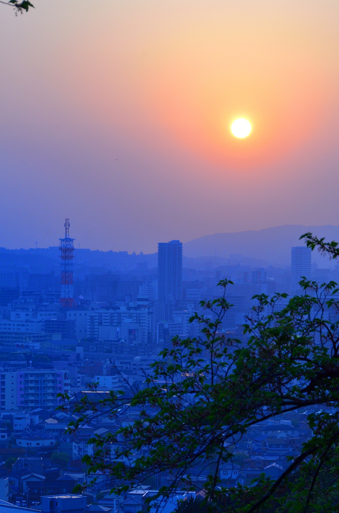 Ｋ市2019　4月-4　夕陽と電波塔