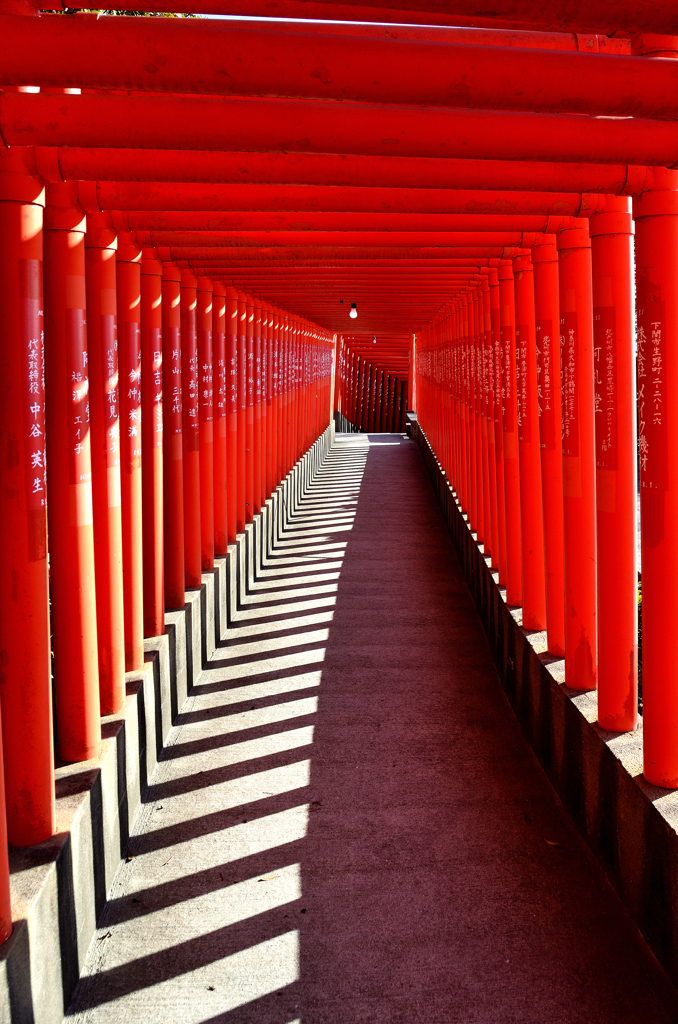 福徳稲荷神社2024　2月-01　千本鳥居①