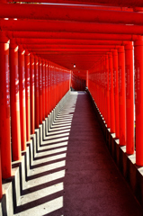 福徳稲荷神社2024　2月-01　千本鳥居①