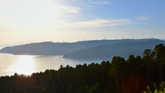 都井岬2025　5月-01　風車群