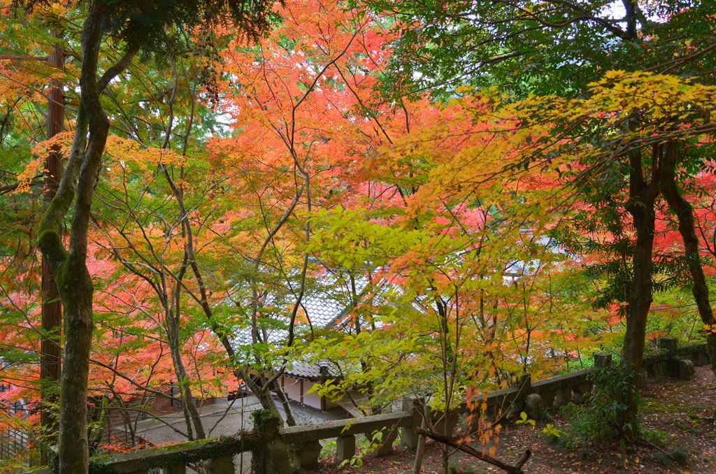 仁比山神社2019-2　境内