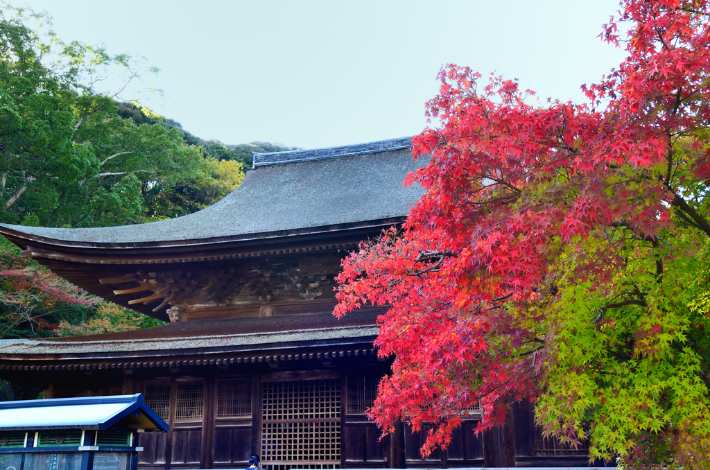 功山寺2022　11月-3　仏殿①