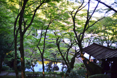 雷山千如寺　中庭