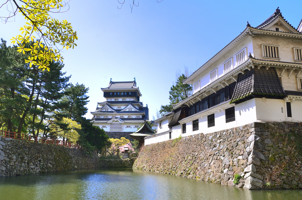 小倉城2022　4月-1　　濠と天守閣
