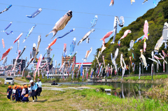 紫川2025-2　園児と鯉のぼり
