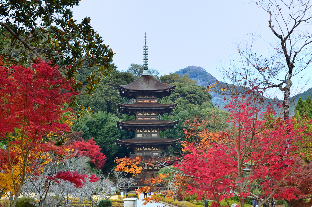 瑠璃光寺2020　11月　五重塔②
