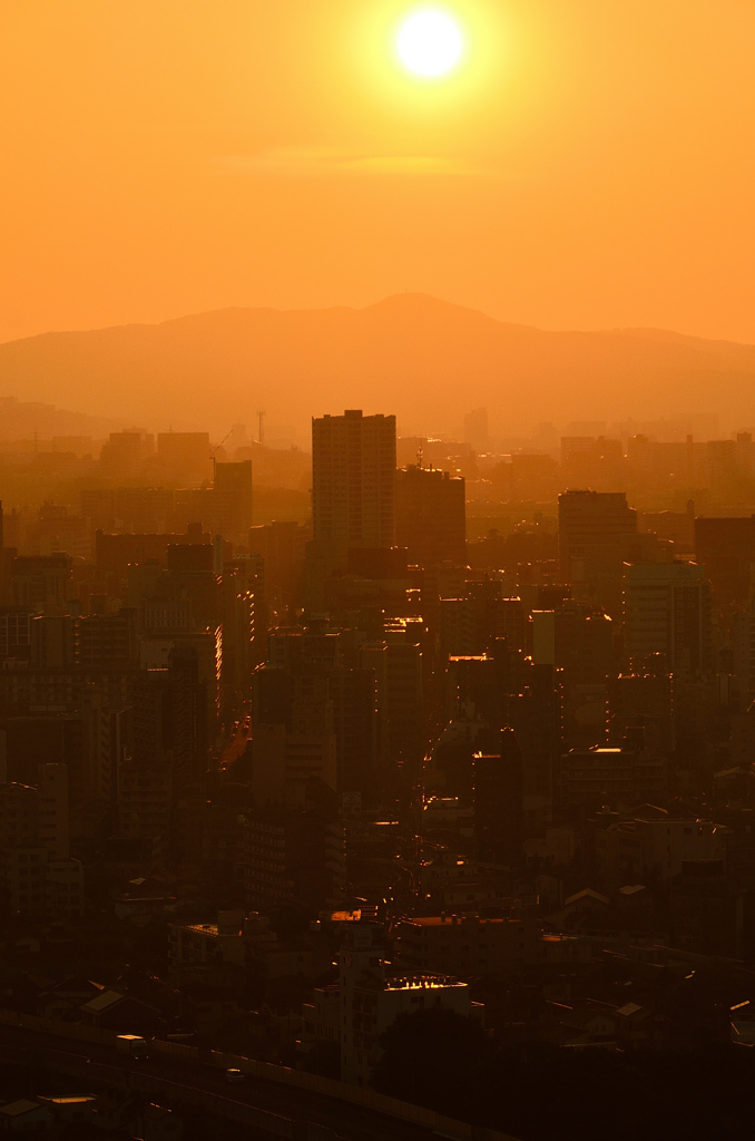 Ｋ市2020　8月-1　夕陽と光の道②