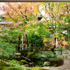 足立美術館2020　11月-2　日本庭園　手水鉢①