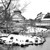小倉城2023　冬景色-3　下屋敷庭園①