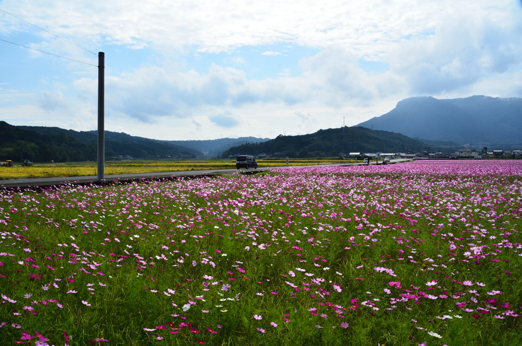 三光2018　八面山