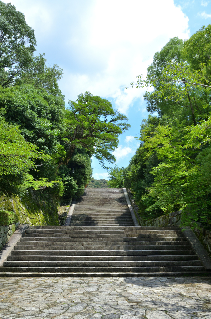 知恩院2022　夏雲　男坂