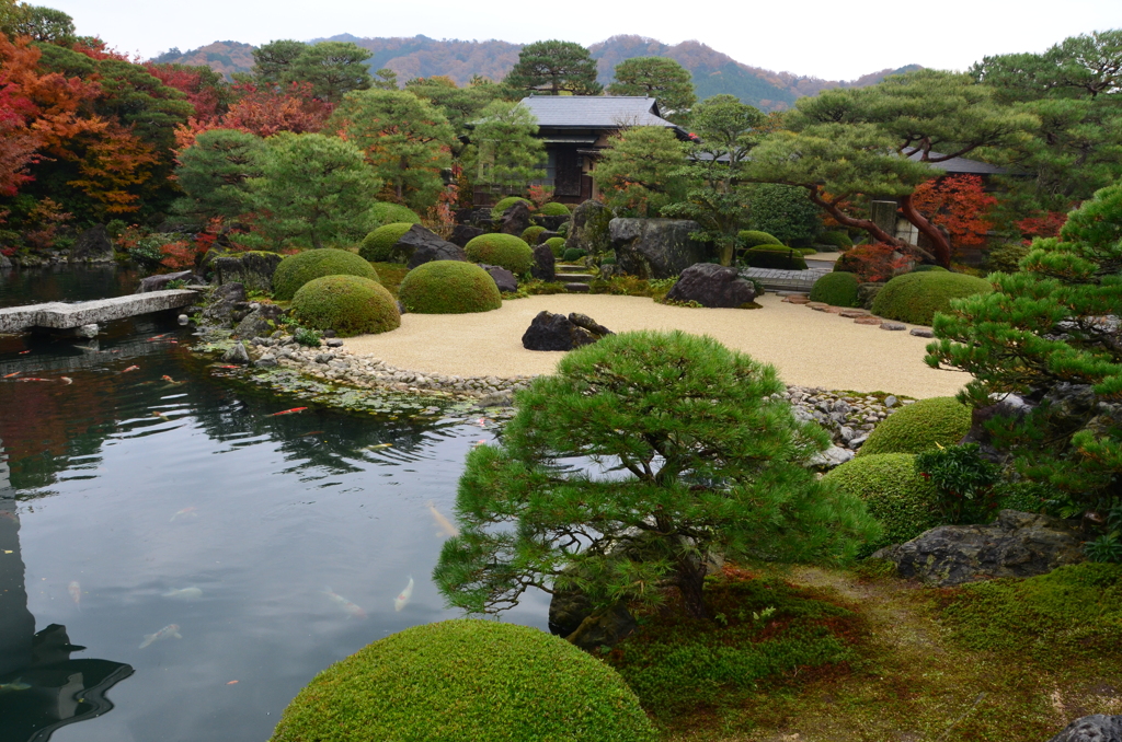 足立美術館2017　日本庭園2