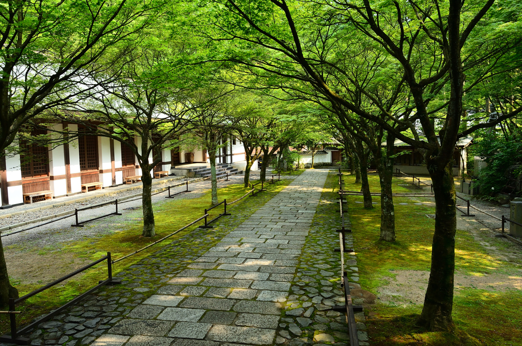 呑山観音寺2021　6月-5　天王院　参道④