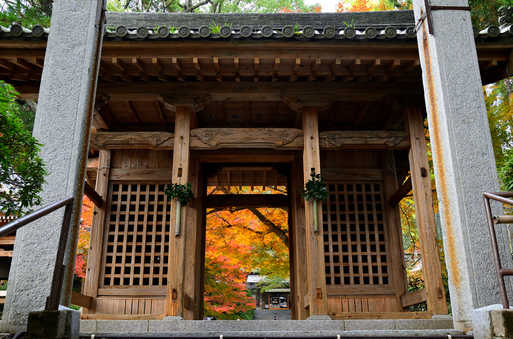 大興善寺2021　11月-1　山門②