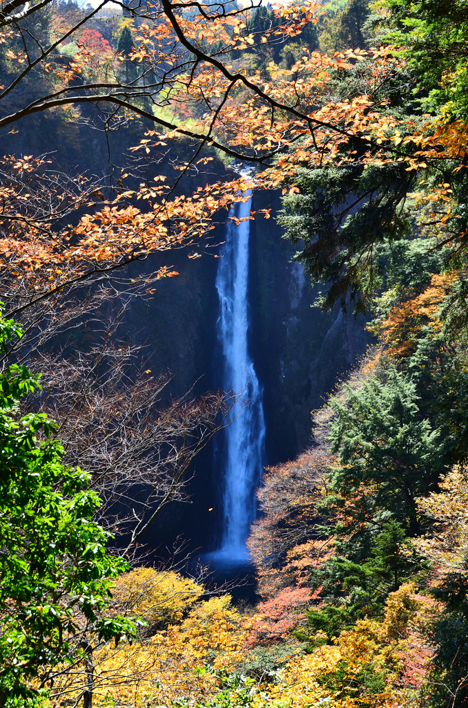 九重夢大吊橋2020　11月-2　振動の滝