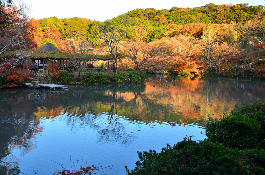 御船山楽園2019-1　秋　茶屋＆船着き場