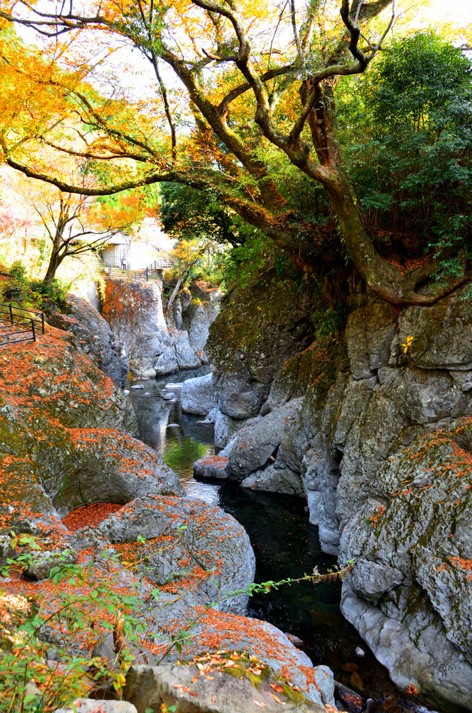 魔林峡2022　11月　紅葉と渓谷①